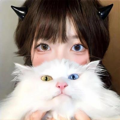 破产姐妹第三季